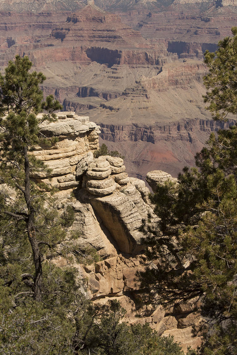 Grand Canyon white sandstone