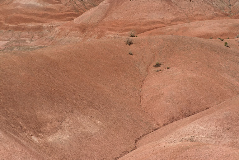 Painted Desert
