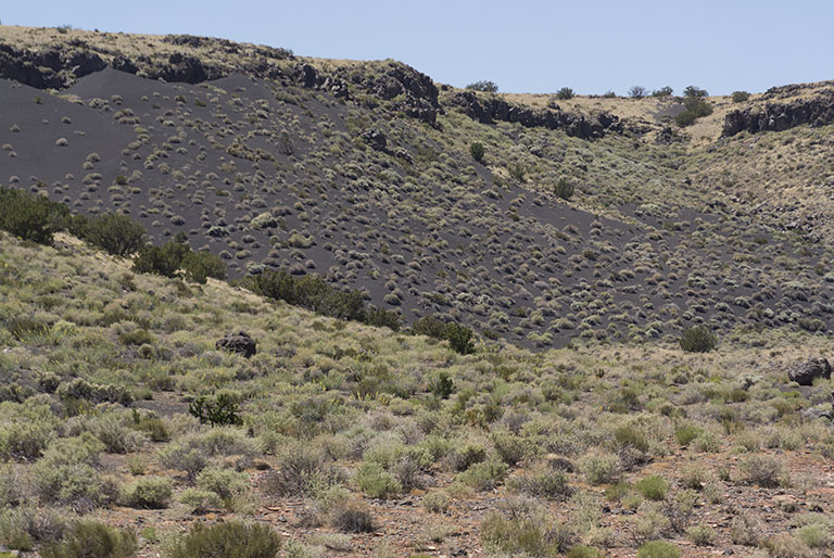 Wupatki valley