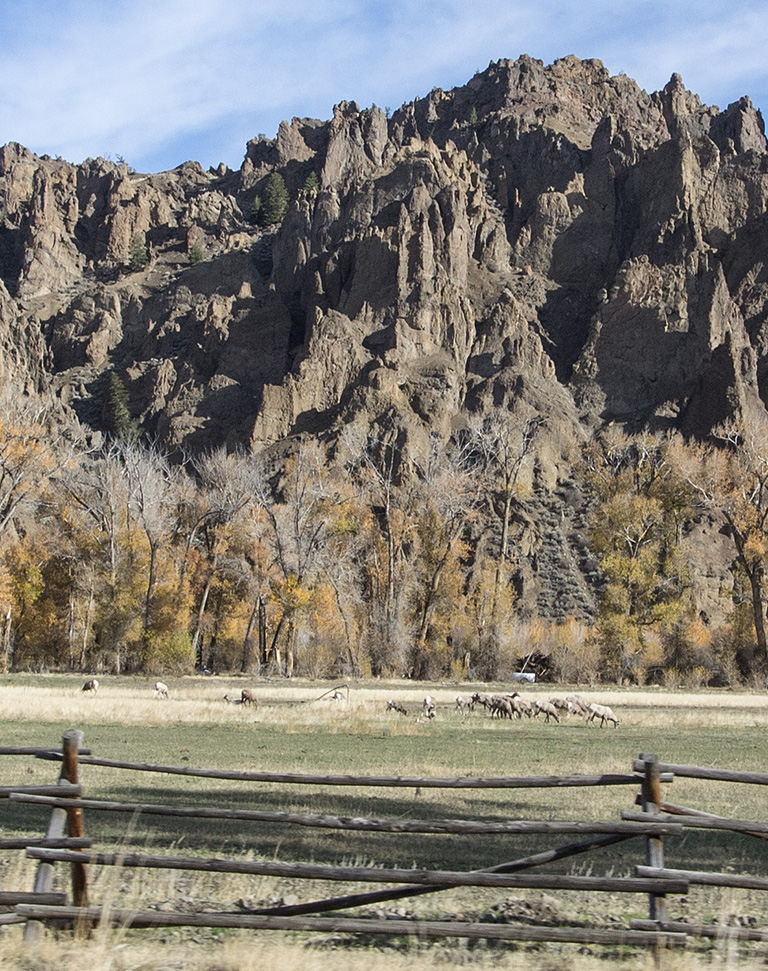 elk ranch east of Yellowstone