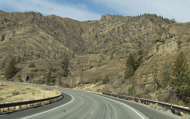 fire scars at Yellowstone